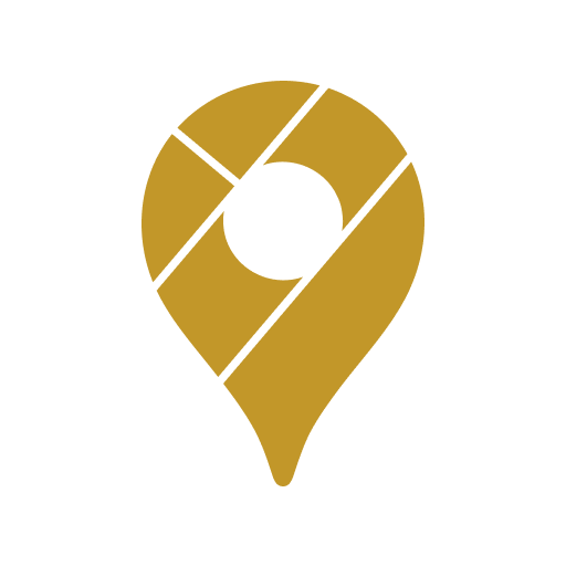 Google Maps Icon